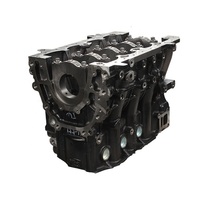 Yunnei Motor D20TCIDF JAC Foton Kamyonları X10011054 için Silindir Bloku